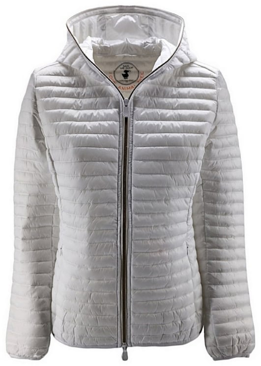 Save the Duck Jacket Save The Duck