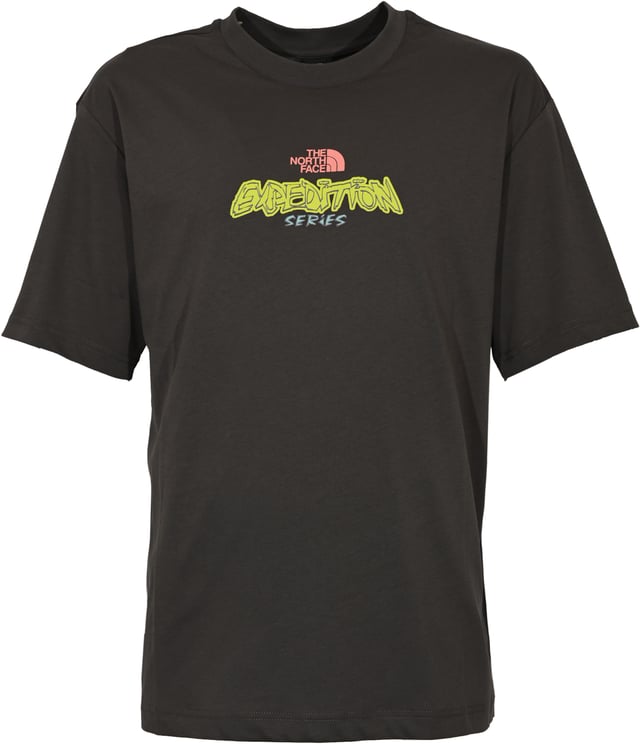 The North Face T-Shirts And Polos Grey