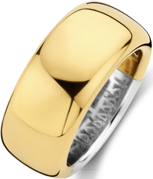 Ti Sento Ti Sento Ring 12234SY/54 Zilver met Geelgouden Plating 10mm Maat 54