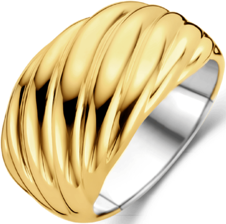 Ti Sento Ti Sento Ring 12238SY/56 Ring Gedraaid Zilver met Geelgouden Plating Maat 56