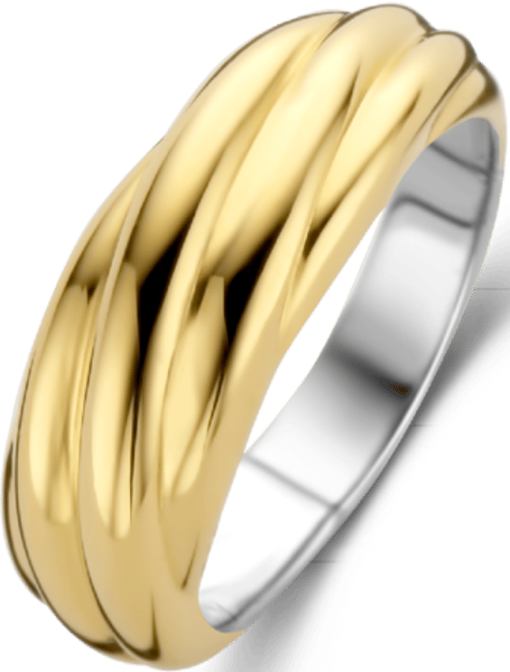 Ti Sento Ti Sento Ring 12239SY/54 Zilver met Geelgouden Plating Maat 54