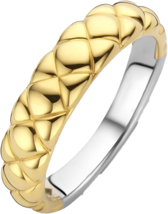 Ti Sento Ti Sento Ring 12289SY/54 Zilver met Geelgouden Plating Relief Maat 54