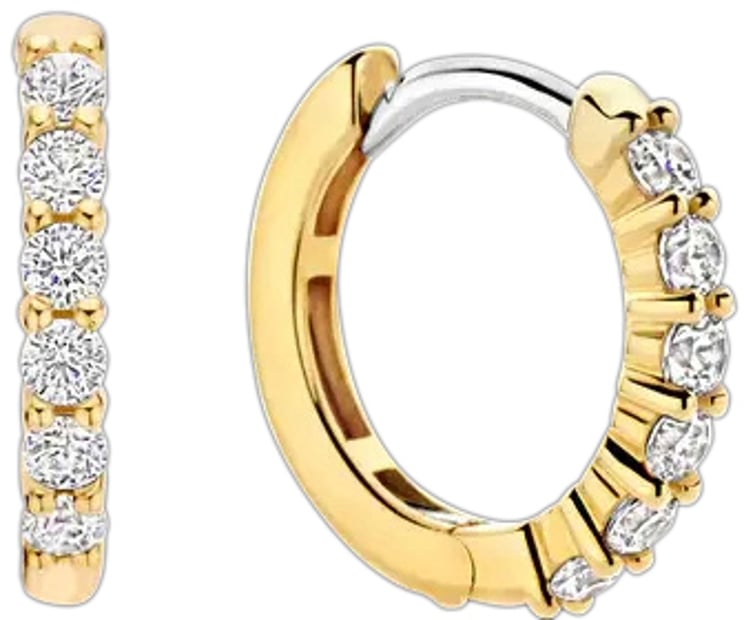 Ti Sento Ti Sento Oorbellen 7957ZY Zilver met Gouden Plating en Zirkonia 14mm