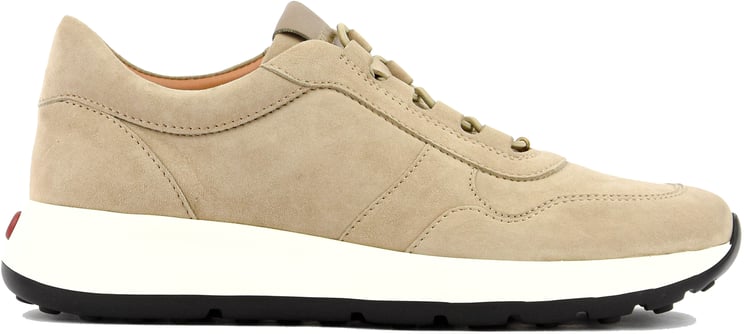 Tod's Red Dot Sneaker Grey Suede
