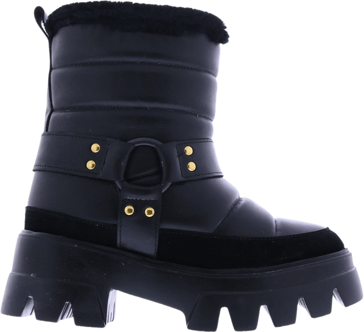 Toral Dames Naplak  Cbrichcneg