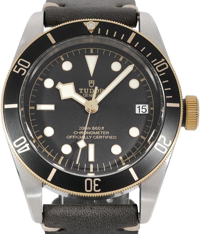 Tudor Black Bay