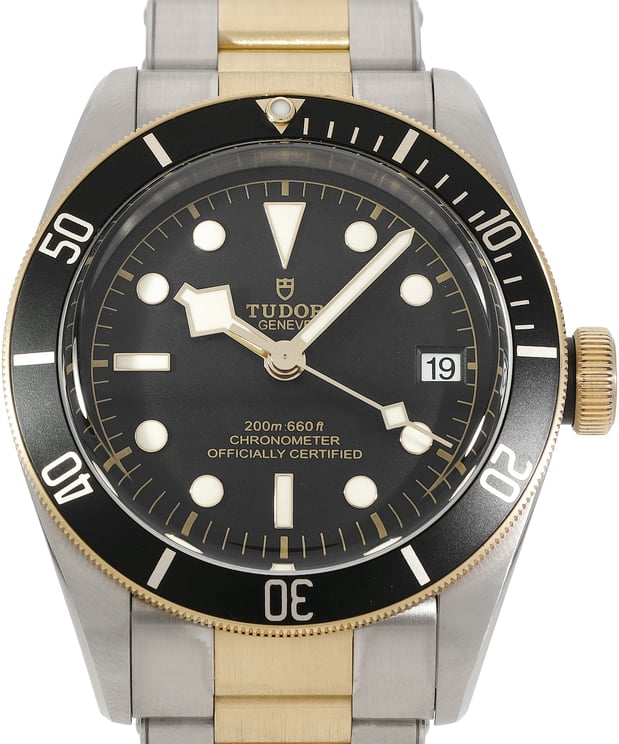 Tudor Black Bay