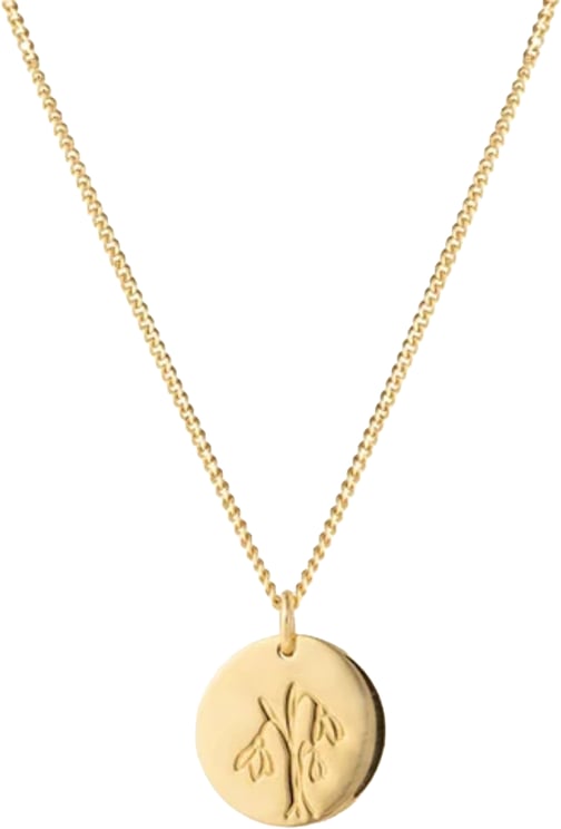 Vedder & Vedder Vedder & Vedder Collier Geboortebloem Januari Zilver met Geelgouden Plating 45cm