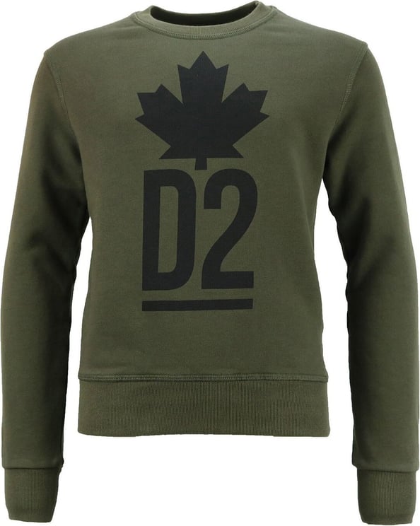 Dsquared2 Sweater Groen Maple Leaf Groen