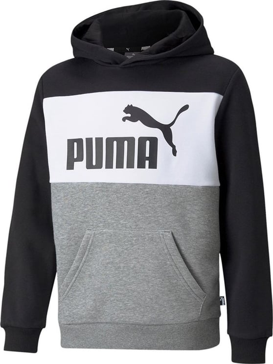 Puma Sweatshirt Kid Ess+ Colorblock Hood 846128.01 Divers