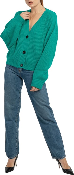 Pinko Pinko Sweaters Groen