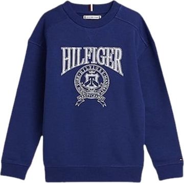Tommy Hilfiger Unisex Hilfiger Varsity Sweater - Blauw Blauw