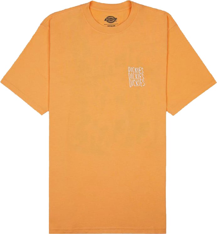 Dickies T-shirt Man Creswell Tee Ss Dk0a4y8we82 Oranje