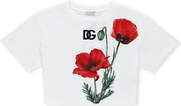 Dolce & Gabbana T-shirts And Polos White Neutraal