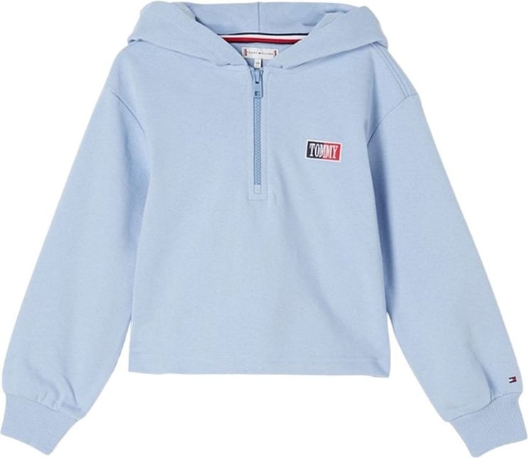 Tommy Hilfiger Timeless Tommy Hoodie Blauw
