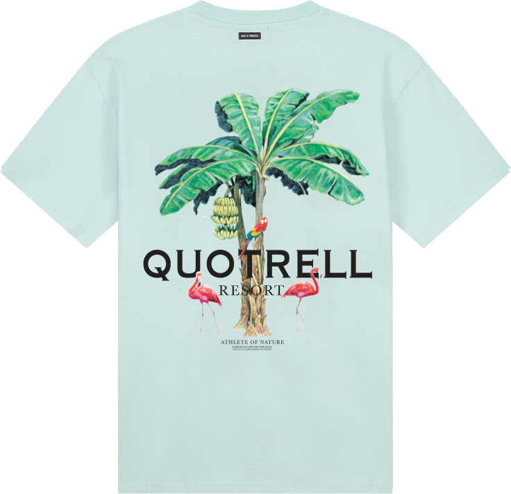 Quotrell Resort T-shirt | Faded Blue / Black Blauw
