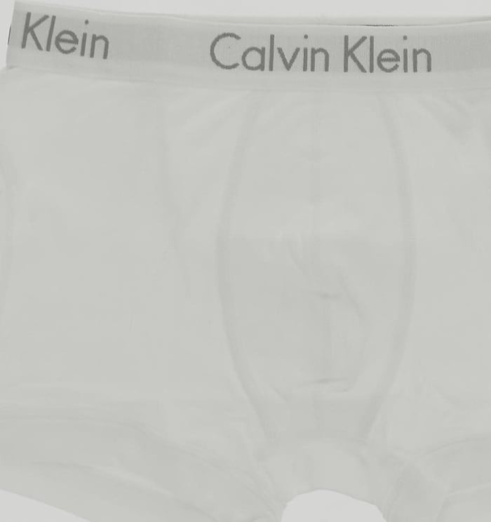 Calvin Klein Trunk Brief Wit