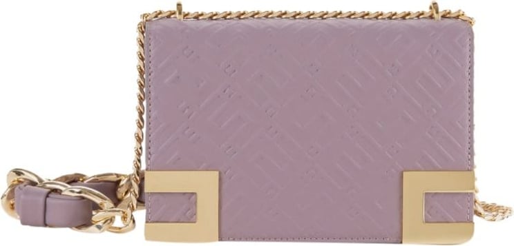 Elisabetta Franchi Bags Purple Paars