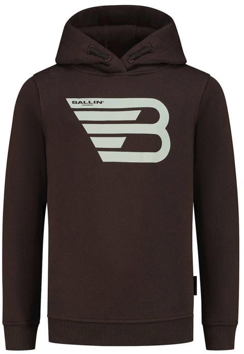 ballin hoodie 176