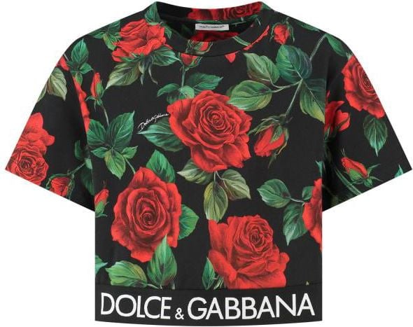 Dolce & Gabbana T-shirt Zwart