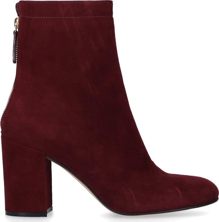 Gianvito Rossi Classic Ankle Boots G Suede Turks Rood