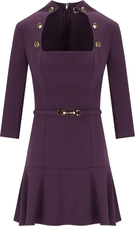 Elisabetta Franchi Purple Dress With Buttons Purple Paars