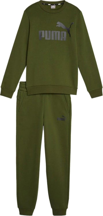 Puma Track Suit Kid No. 1 Logo Sweat Suit 670884.31 Groen