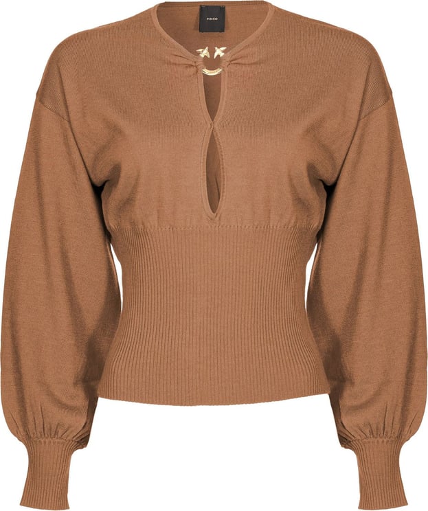 Pinko Sweaters Brown Bruin