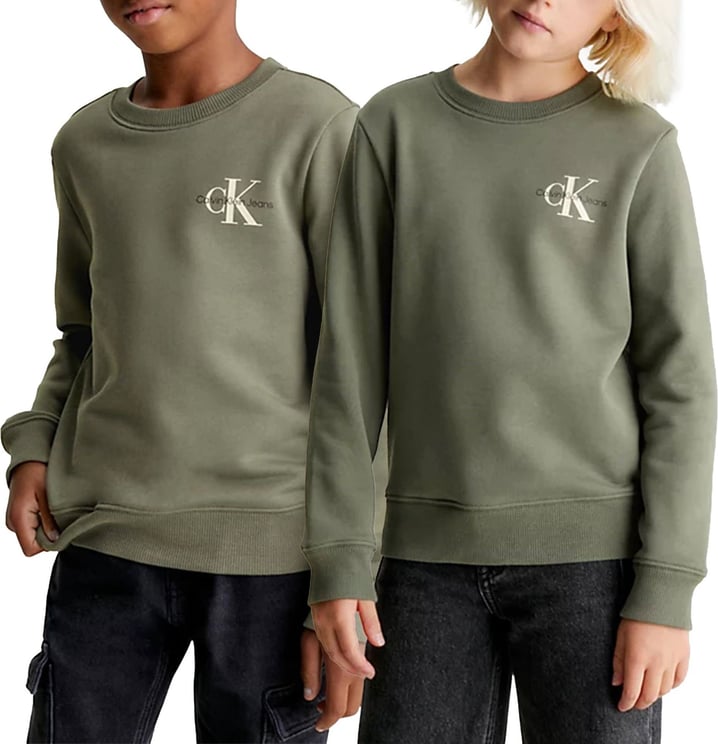 Calvin Klein Sweater Groen