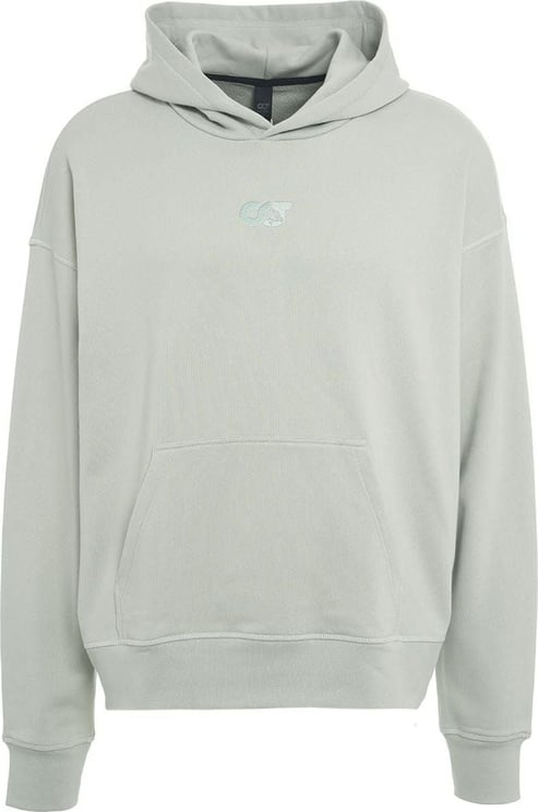 AlphaTauri Hoodie with embroidered logo Groen