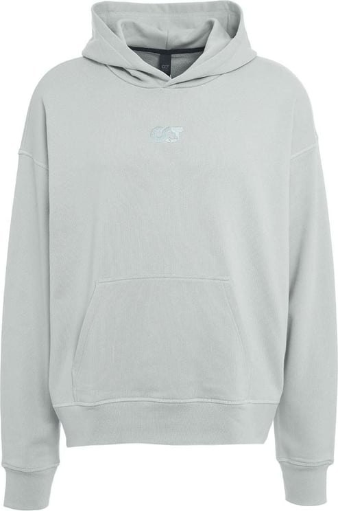 AlphaTauri Hoodie with embroidered logo Grijs