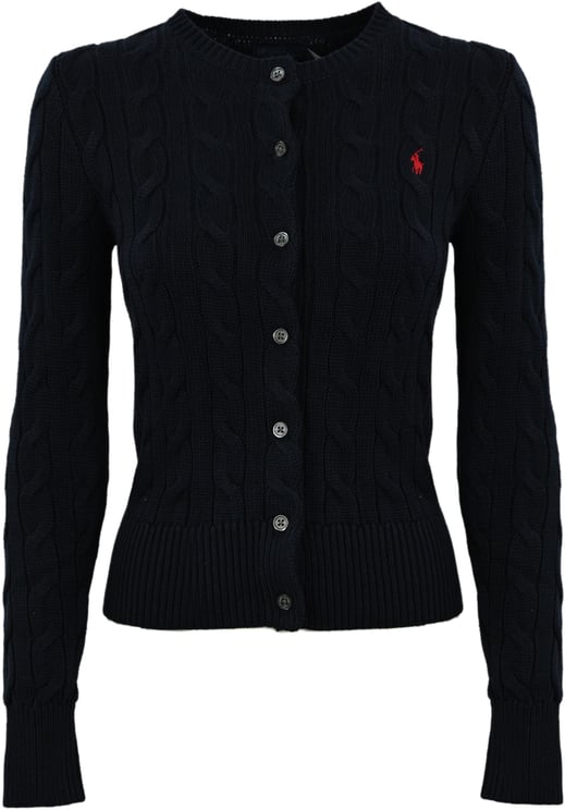 Ralph Lauren Polo Sweaters Blauw