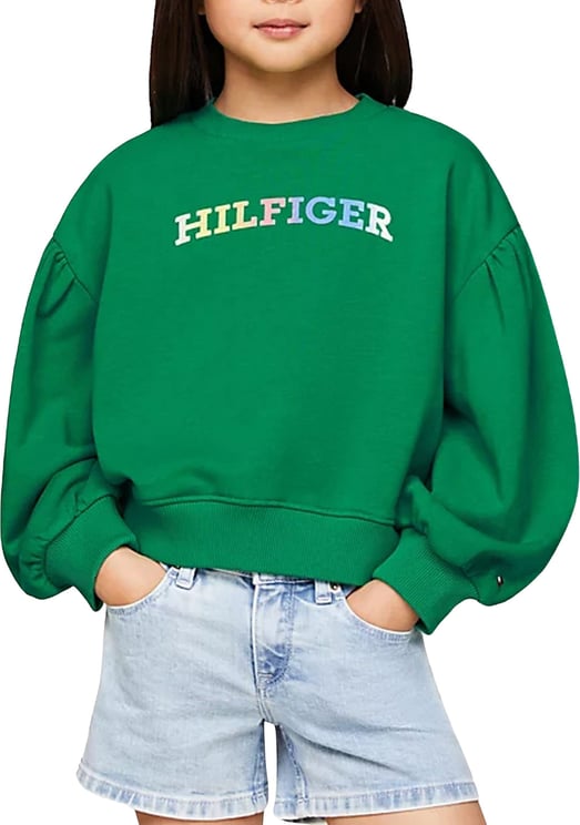 Tommy Hilfiger Monotype Sweater Groen