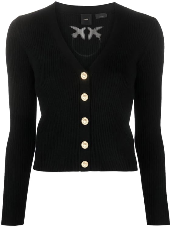 Pinko Sweaters Black Zwart