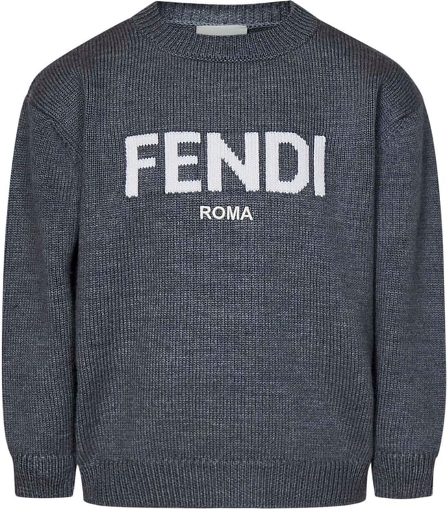 Fendi Fendi Kids Sweaters Grey Grijs