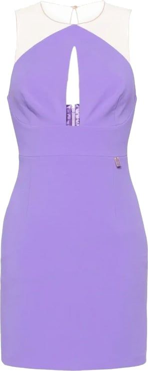 Elisabetta Franchi Dresses Purple Paars
