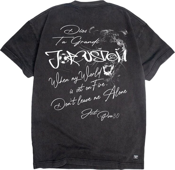 JORCUSTOM Panther Loose Fit T-Shirt Acid-Grey Grijs