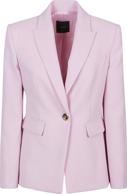 Pinko Humahuaca Jacket Pink & Purple Roze