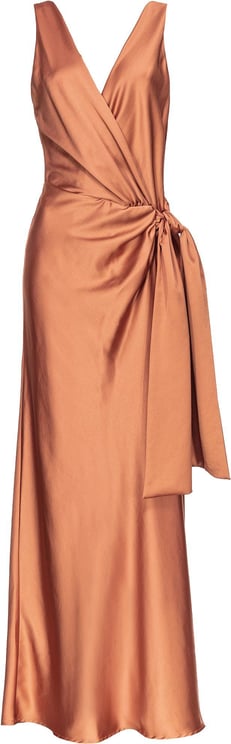 Pinko Dresses Brown Bruin