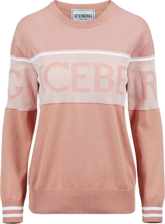 Iceberg Cotton sweater with logo Roze