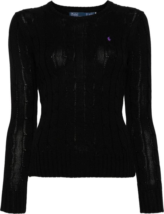 Ralph Lauren Polo Ralph Lauren Sweaters Black Zwart