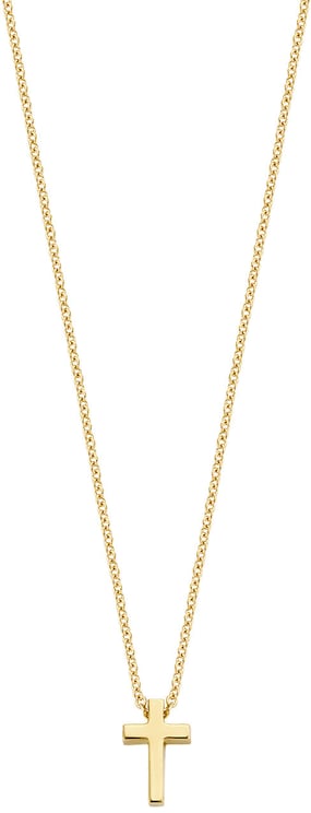 Blush Blush Collier met Hanger 3091YGO 14k Geelgoud Kruis Ketting 42cm Divers