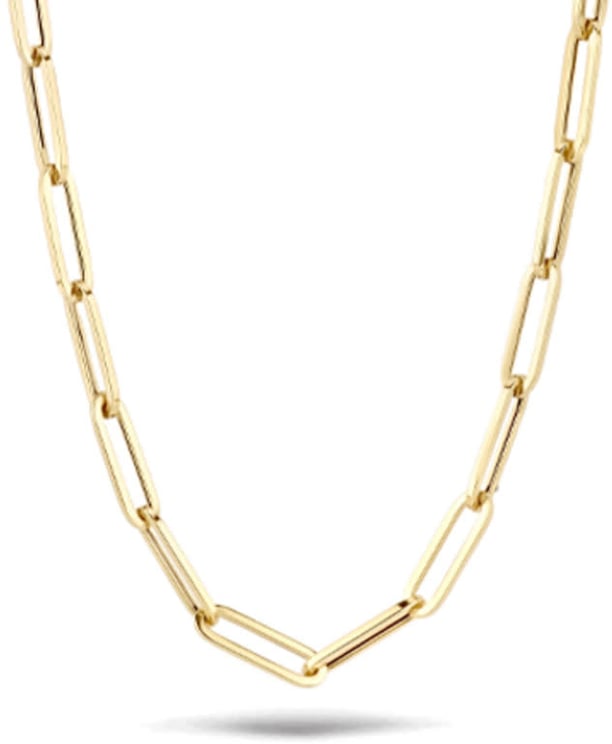 Blush Blush Collier 3130YGO 14k Geelgoud met Closed Forever Schakel 45cm Divers