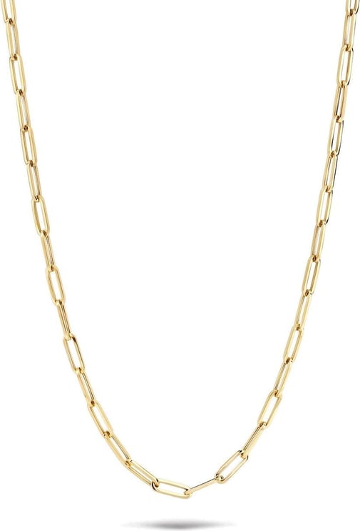Blush Blush Collier 3101YGO 14k Geelgoud Closed forever Ketting 45cm Divers