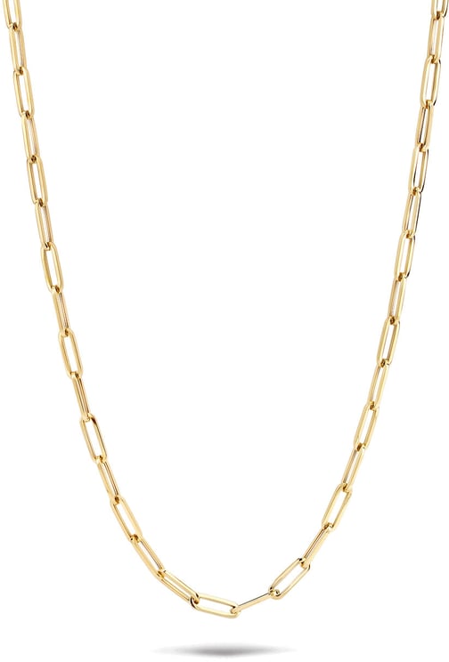 Blush Blush Collier 3101YGO 14k Geelgoud Closed forever Ketting 45cm Divers