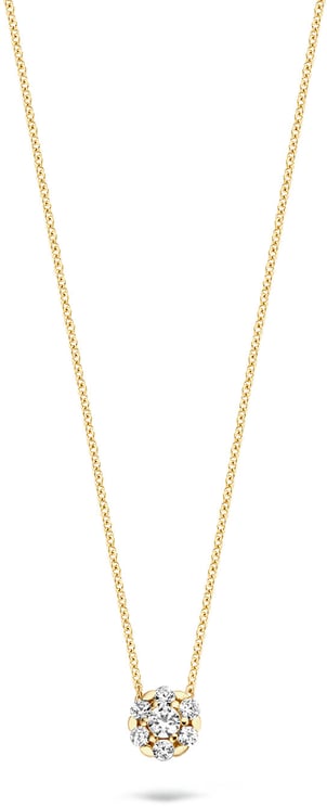 Blush Blush Collier met Hanger 3097YZI 14k Geelgoud met Briljant geslepen Zirkonia 42cm Divers