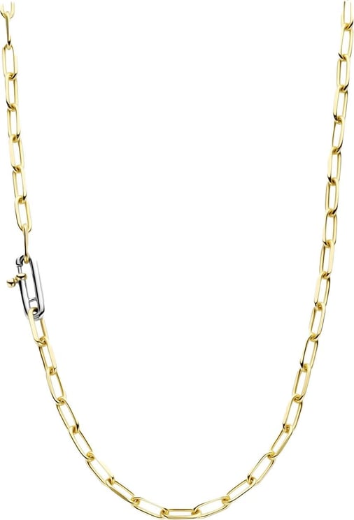 Ti Sento Ti Sento Collier 34024SY/48 Zilver met Geelgouden Plating Forever Closed Divers