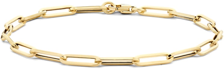 Blush Blush Armband 2190YGO 14k Geelgoud Forever Closed 18.5cm Divers