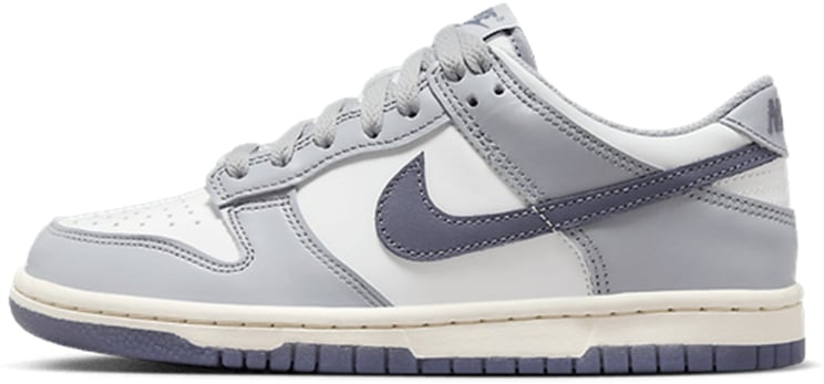 Nike Nike Dunk Low Light Carbon (GS) Divers