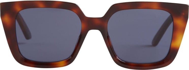 Dior Midnight Sunglasses Bruin